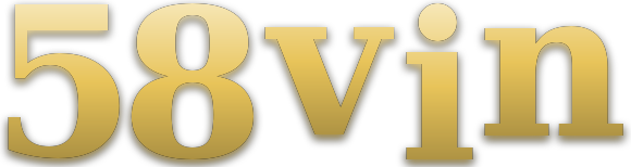 58vin logo
